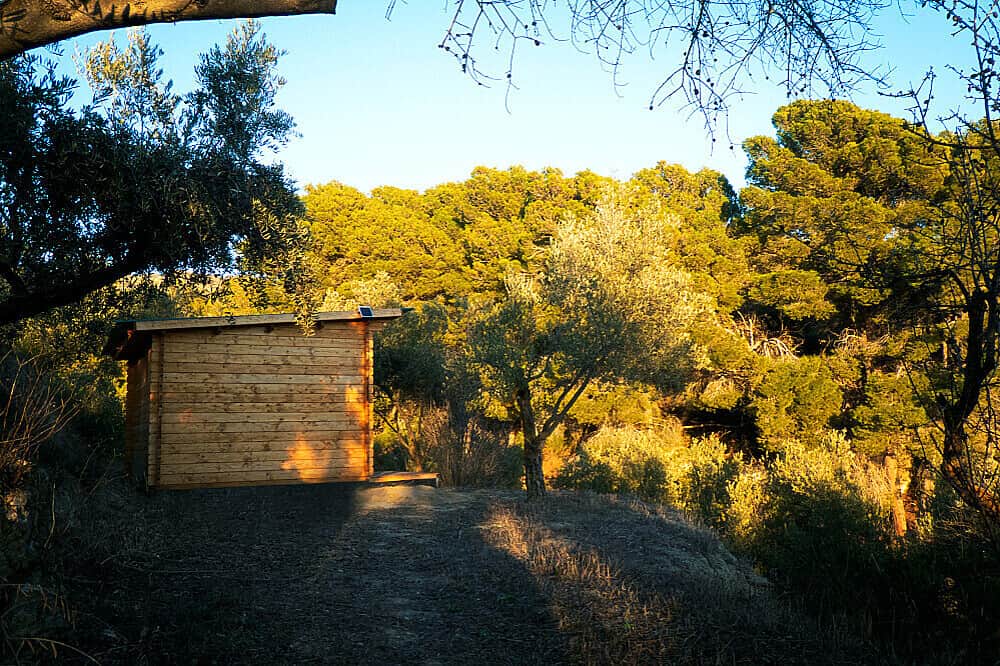 7 Day Awaken Your King: Private Retreat for Men in Spain 7