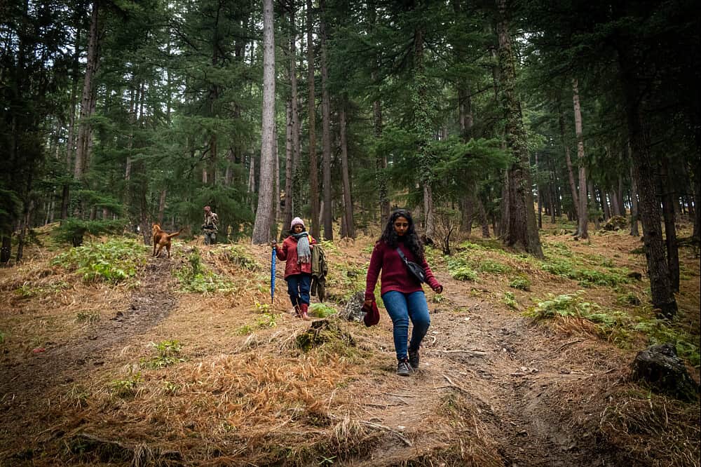 6 Day Inner Sanctuary Himalayan Retreat in Himachal Pradesh,India 3