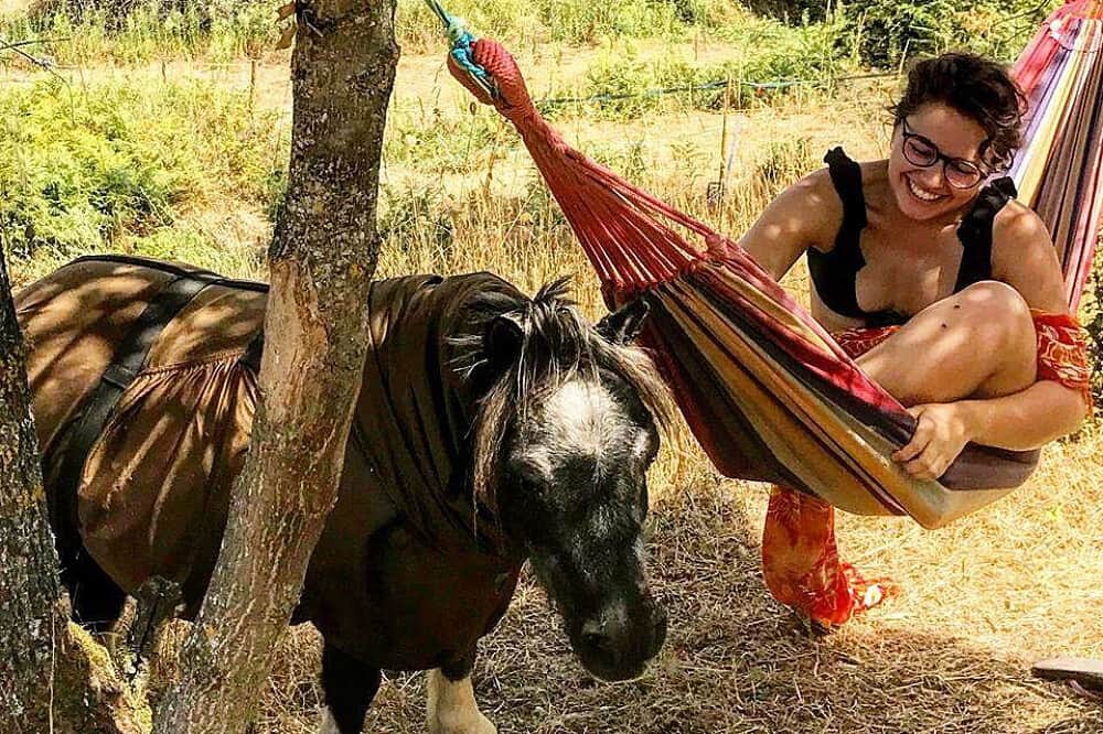 5 Day Animal Communication & Meditation Retreat, Portugal 5