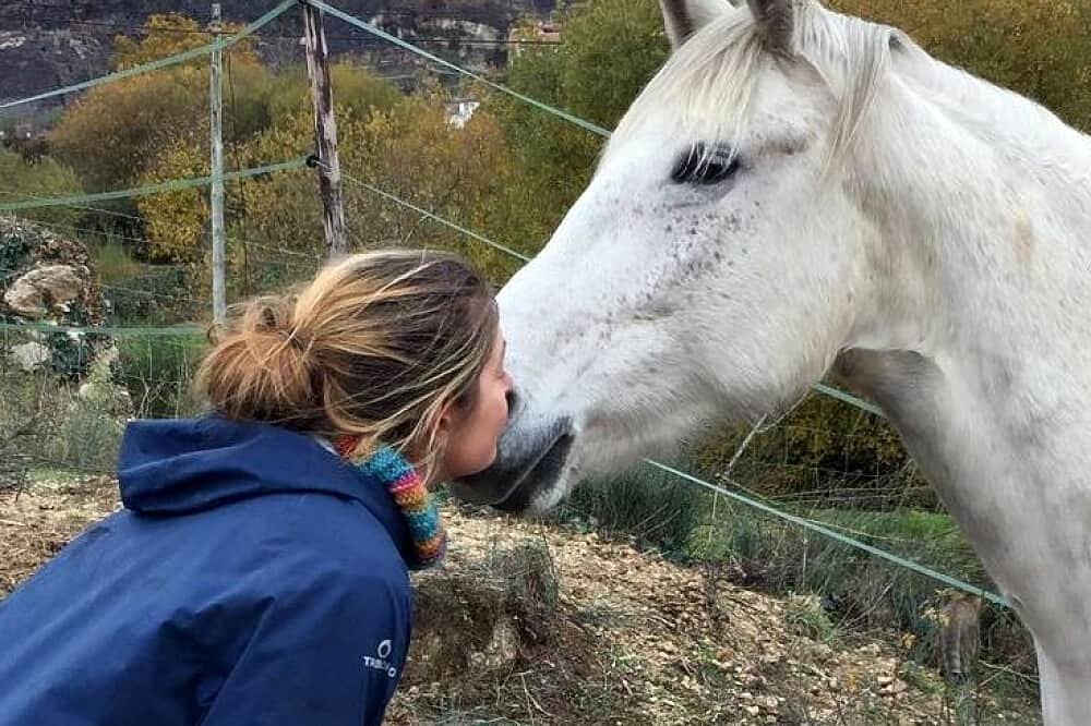 5 Day Animal Communication & Meditation Retreat, Portugal 2