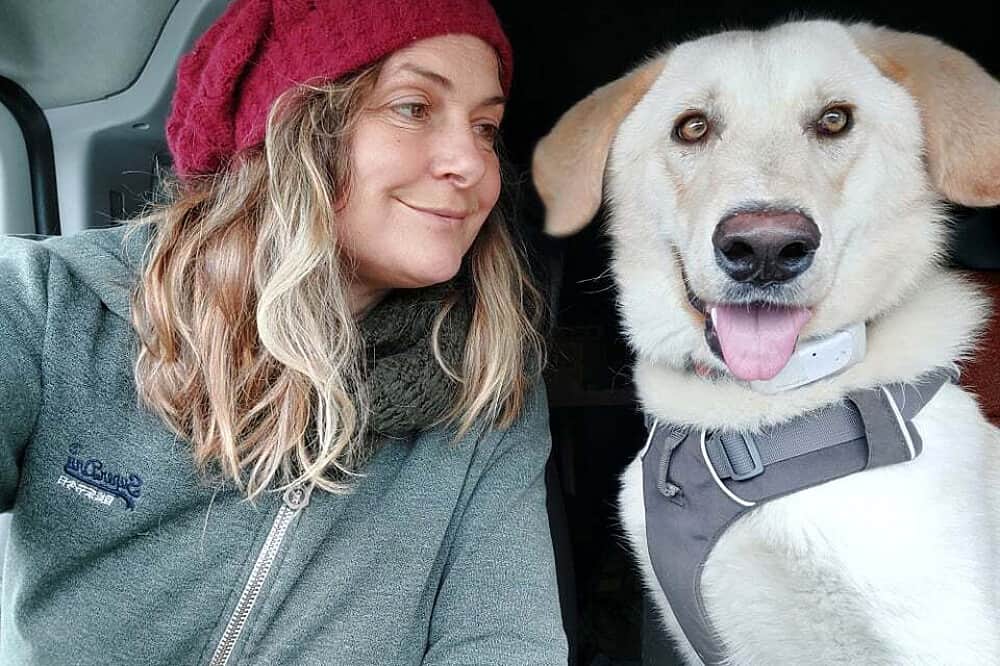 5 Day Animal Communication & Meditation Retreat, Portugal 3