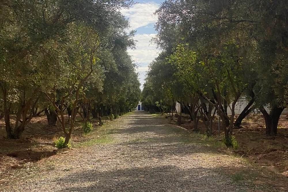 7 Day Martial Arts and Meditation Retreat in Marrakech, Morocco 8