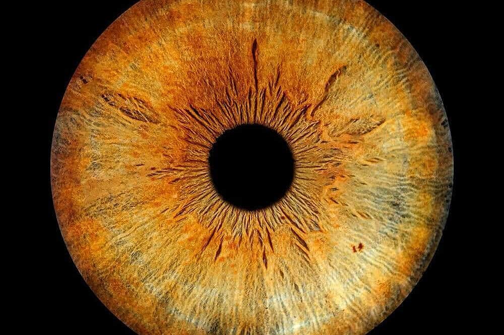 10 Day Fasting & Detox Retreat on the West Coast of Sweden 3