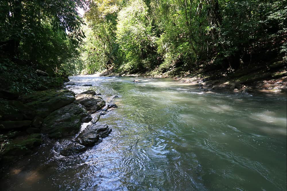 5 Day Yoga Retreat: River, Waterfalls and Massage in Costa Rica 1
