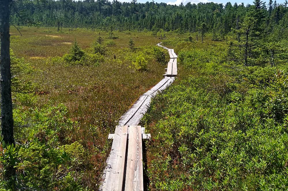 4 Day Lavender, Yoga, Lake Cruise, Hiking & Kayaking Retreat, US 6