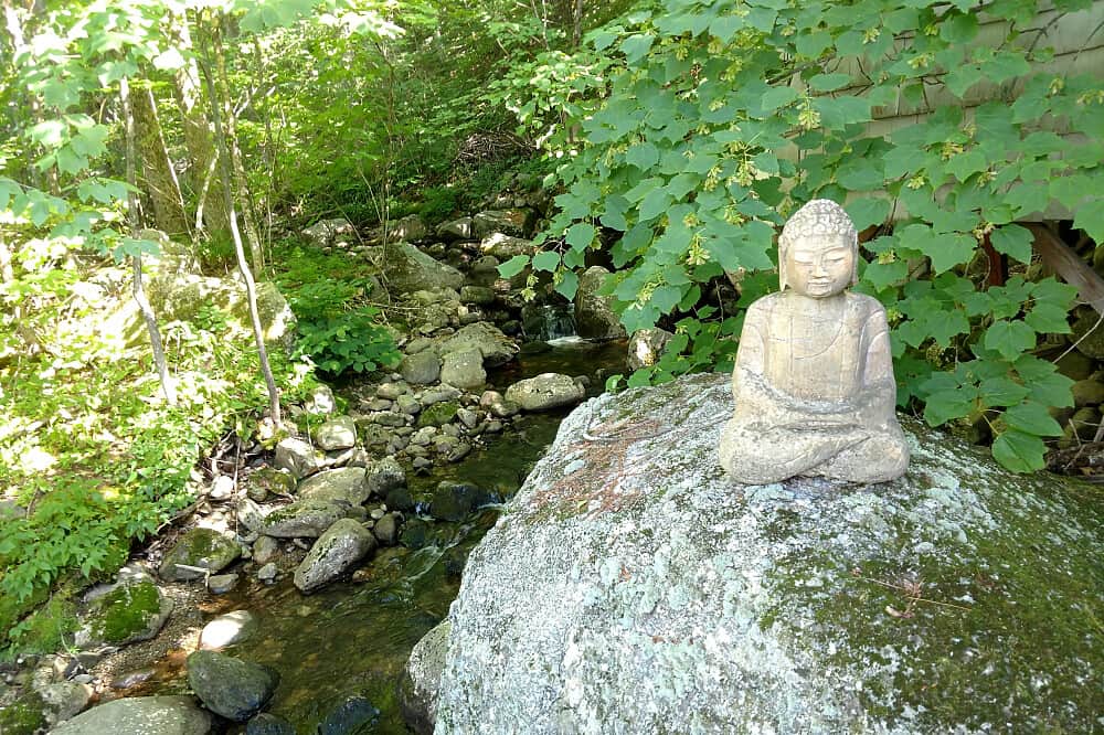 4 Day Lavender, Yoga, Lake Cruise, Hiking & Kayaking Retreat, US 7