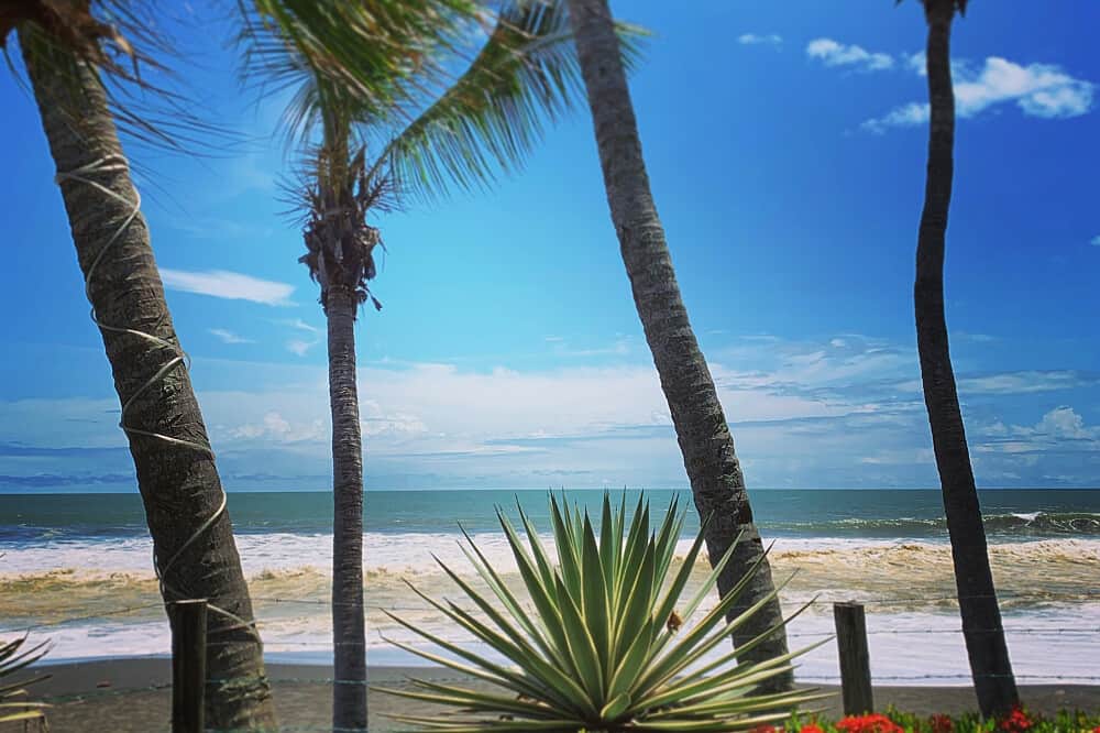 7 Day Total Vibrational Upgrade, Private 1-1 Retreat, Costa Rica 5