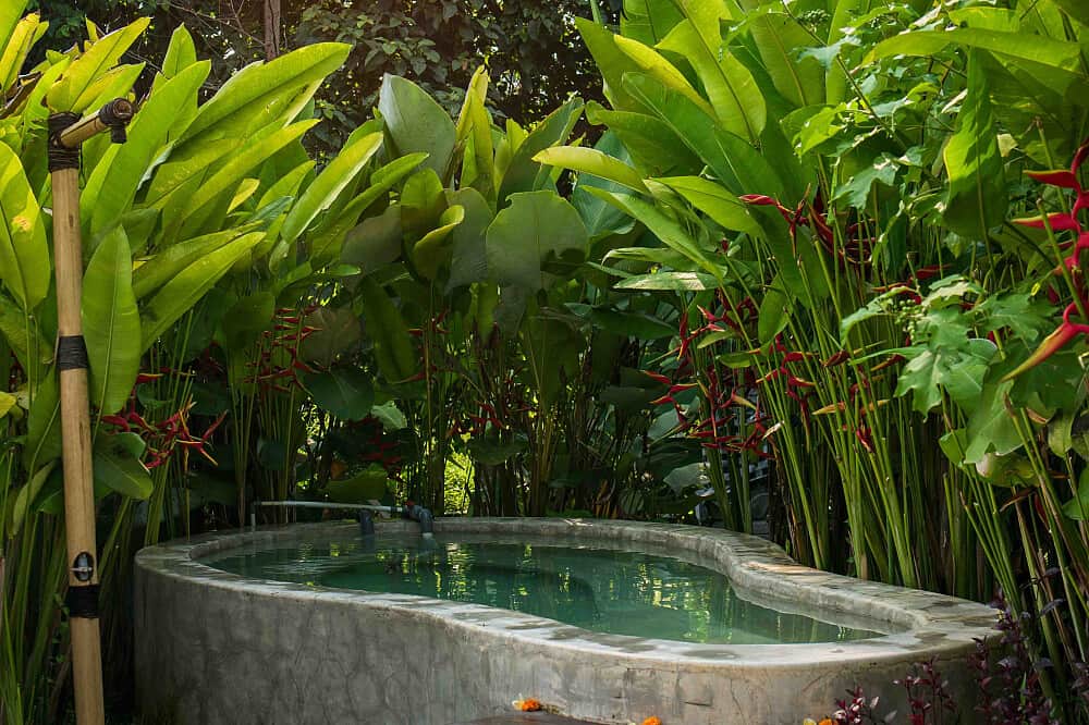 5 Day Rejuvenation & Glucose Balance Retreat in Ubud, Bali 6