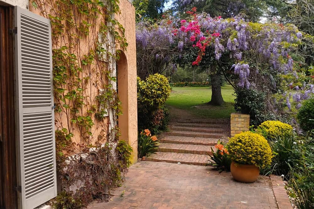 7 Day Yoga for Beginners Retreat in Knysna, South Africa 5