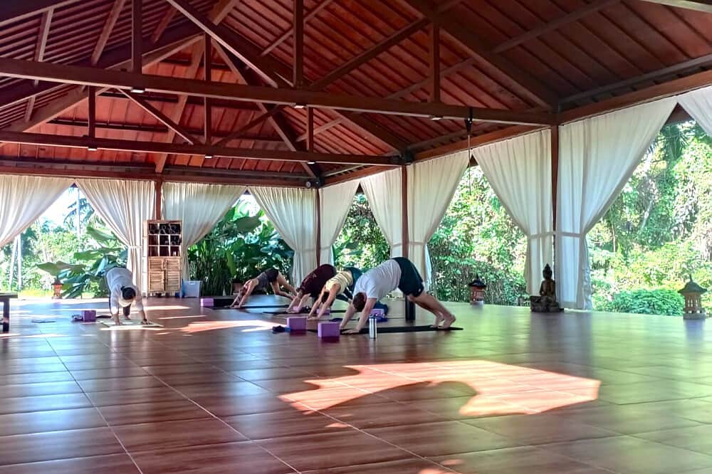 4 Day Cleanse Your Mind & Body - Detox Program in Ubud, Bali 4
