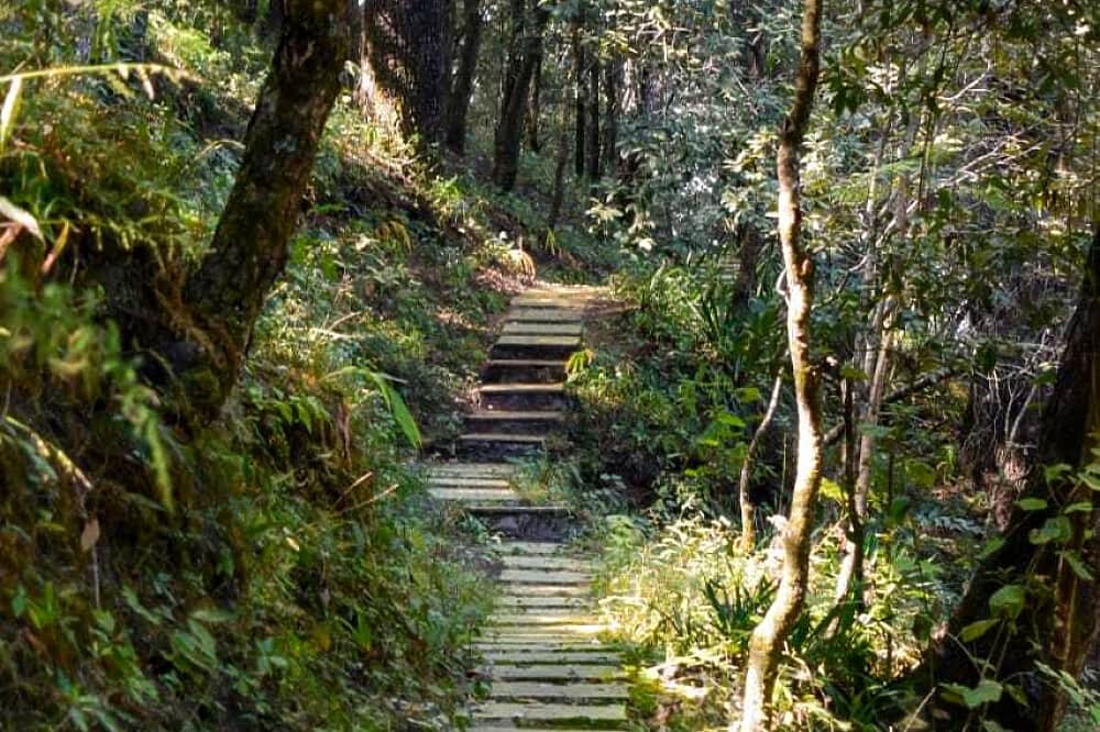 15 Day Ayurvedic Weight Loss Program in Almora Uttarakhand, India 3