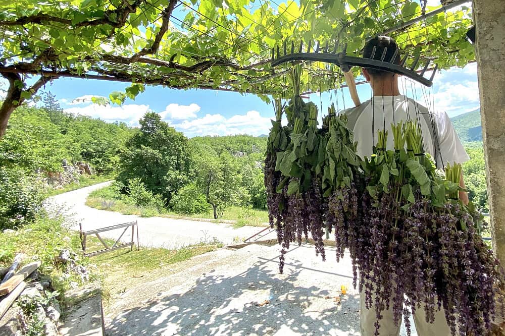 4 Day Mindful Retreat in the Beautiful Countryside of Montenegro 4