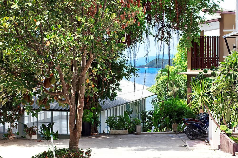 42 Day 300 Hour Yoga Teacher Training on Koh Phangan, Thailand 8