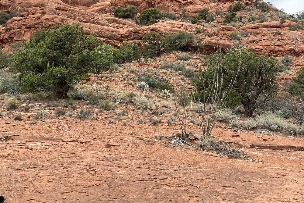 5 Day Women's Divine Feminine Power Spiritual Retreat, Sedona, US 8