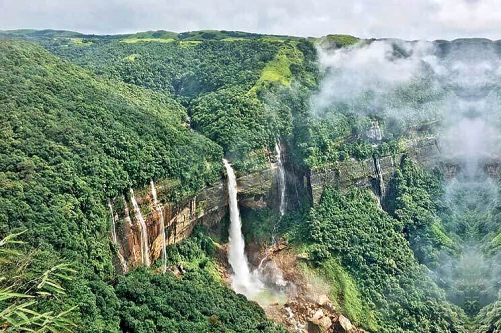 15 Day Wellness Camp at Udechee Huts in Dharamshala, India 4