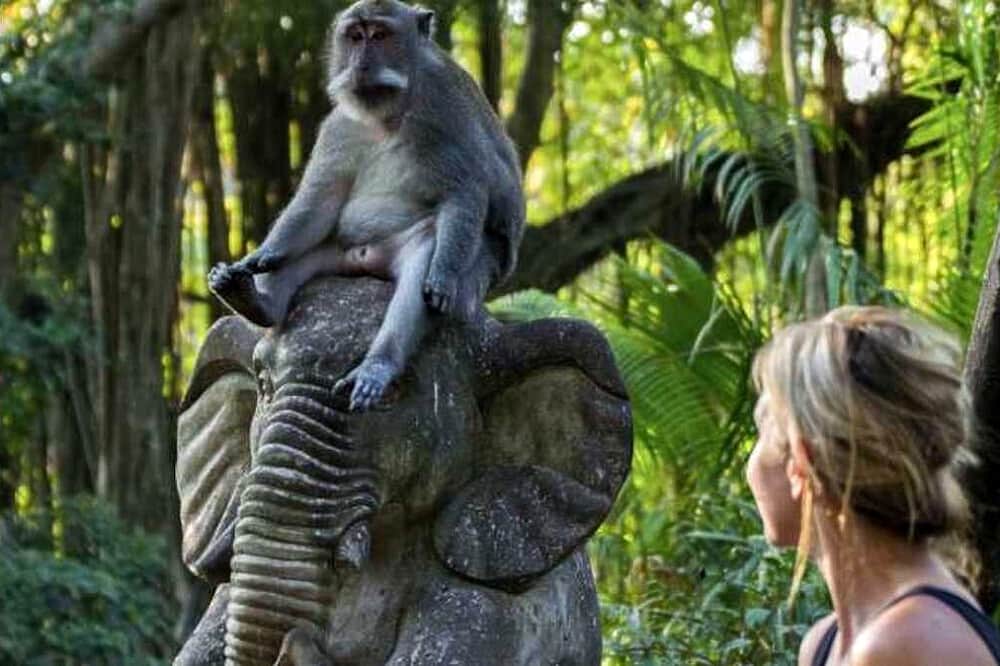 5 Day (Flexible) Volcano Sunrise, Ubud Tour&Yoga Spa Retreat,Bali 8