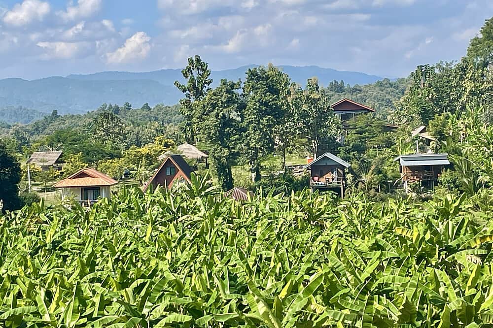 4 Day Non-Commercial Yoga & Meditation Homestay Retreat, Thailand 5