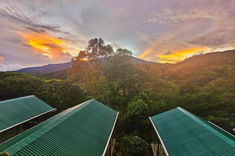 5 Day Seasonal Healing: Bespoke & Self-Guided Experience, Panama 7