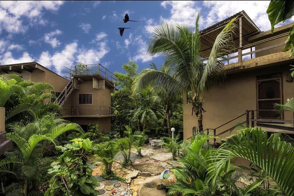 8 Day Private Jungle Wellness & Fitness Reset in Mexico 3