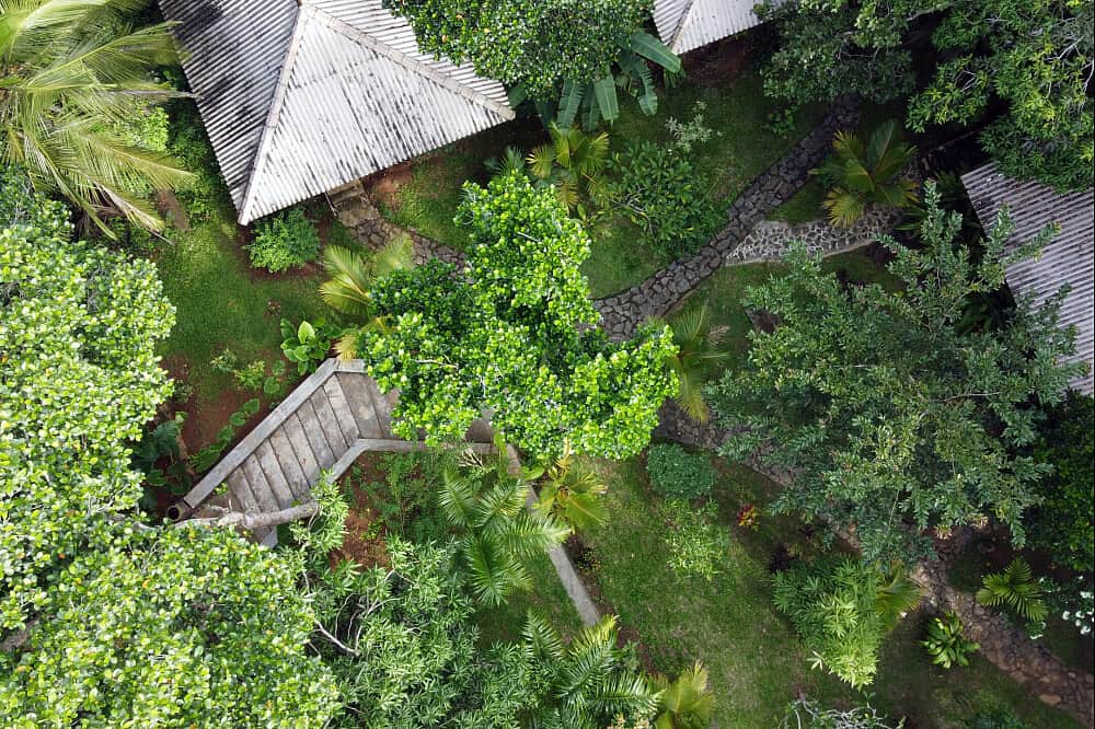 5 Day Surf, Movement & Yoga Retreat in Magical Sri Lanka 8