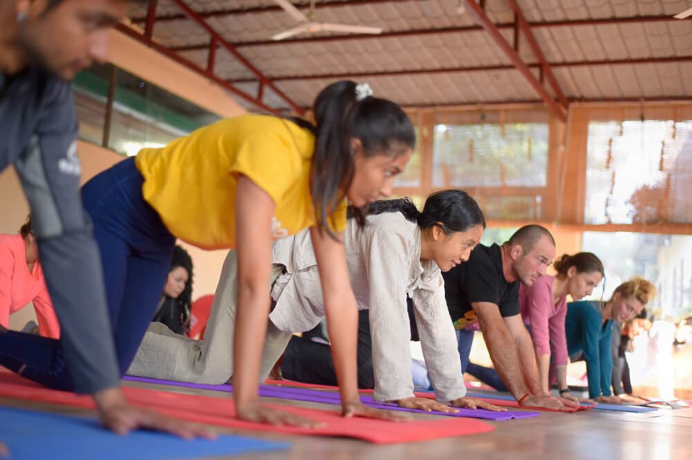 5 Day Ayurveda & Yoga Retreat in Rishikesh, India 7