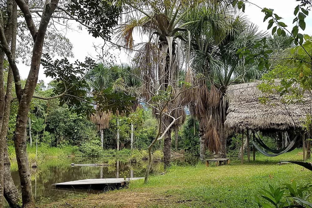 4 Day Amazon Reiki Level 1 Initiation & Gentle Yoga Retreat, Peru 4