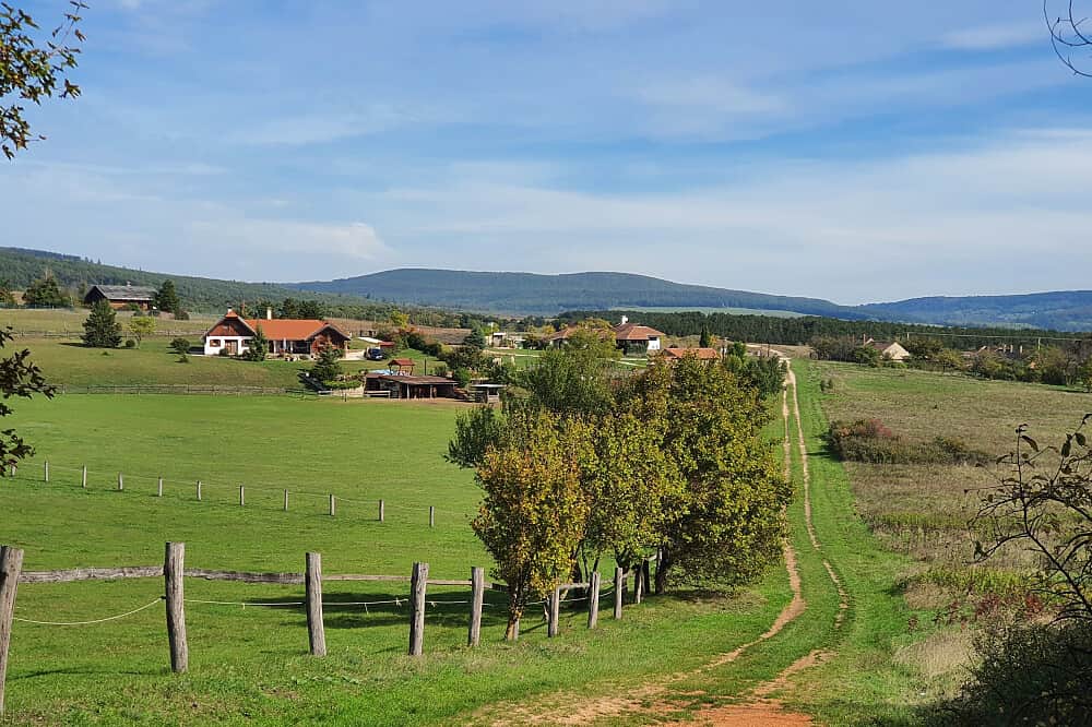 8 Day Fasting for Total Recharge in a Nature Reserve in Hungary 2