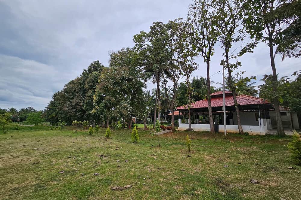 21 Day 1:1 Narcissist Survivor: Reclaim & Rise Retreat in India 6