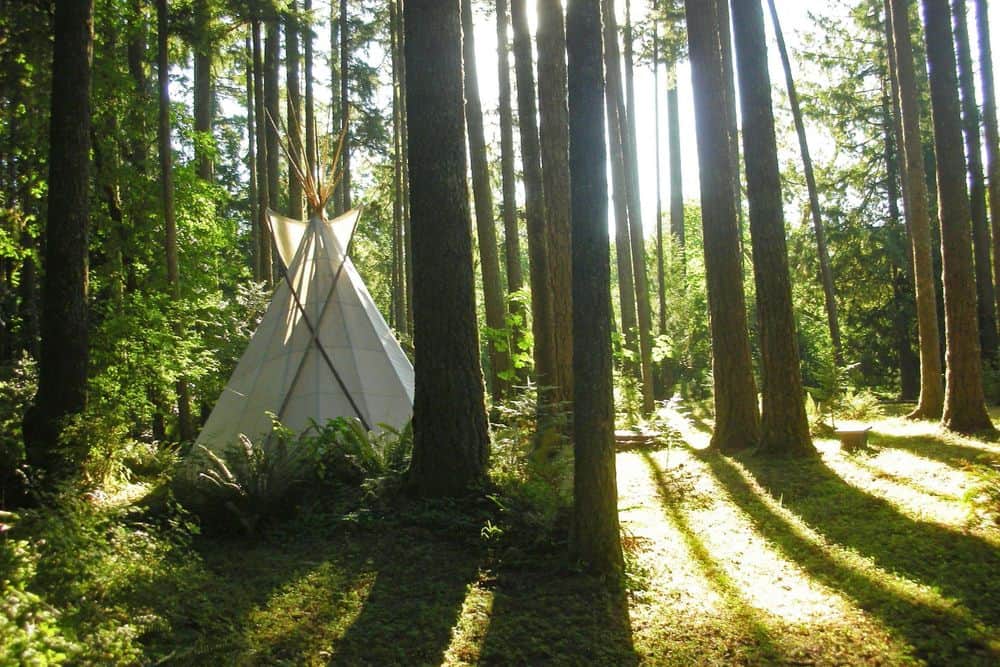 3 Day 13th Annual Back to Nature Yoga Retreat - Oregon, USA 5