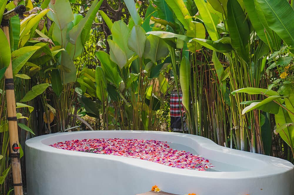 8 Day Health Retreat: Massage, Yoga & Acupuncture in Bali 7