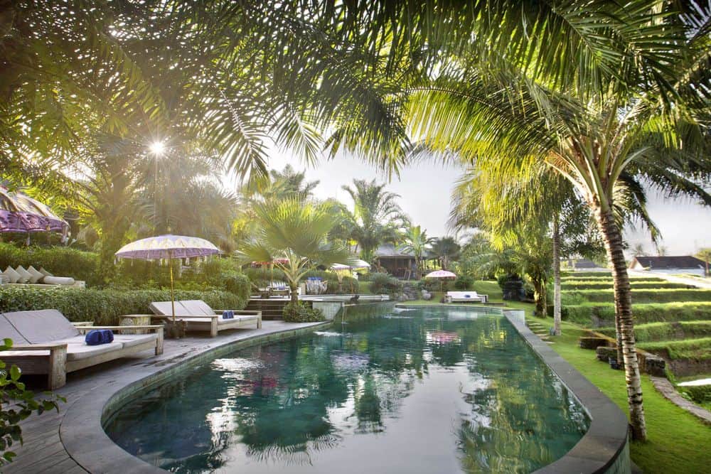 4 Day Yogis Inner Journey in Ubud, Bali 8