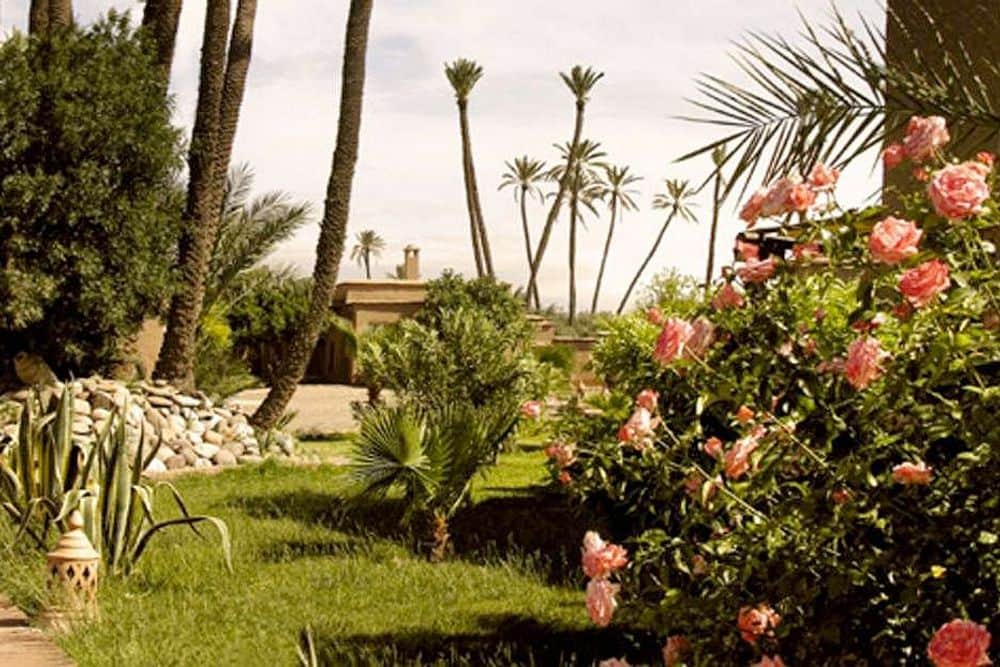4 Day Yoga & Marrakech Oasis Retreat in Morocco 5