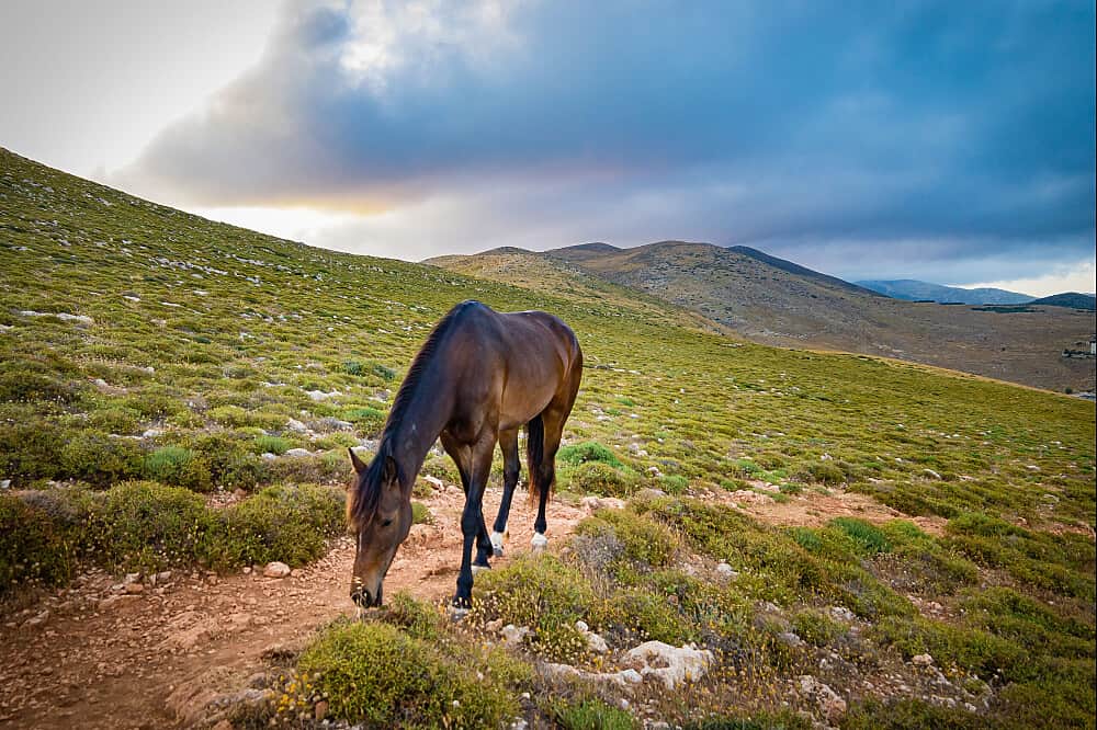 7 Day The Joy of Stillness Yoga & Meditation Retreat in Greece 6