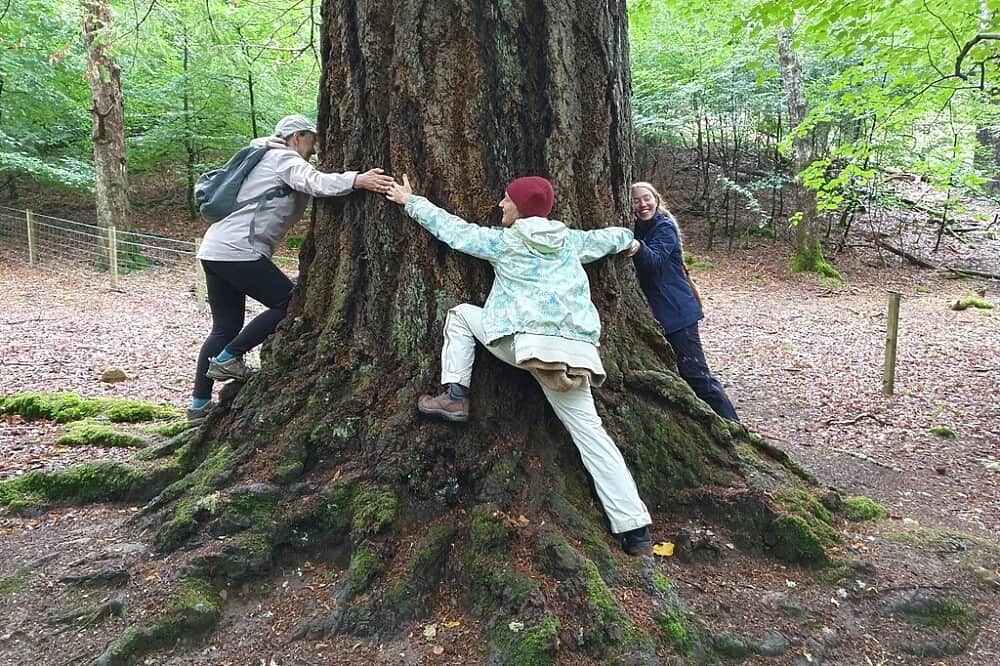 8 Day Mindfulness, Nature & Forest Therapy Retreat in Scotland 5