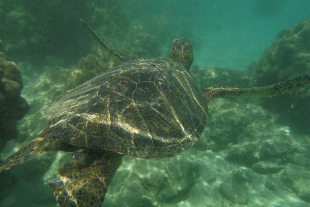 6 Day Couple's Retreat in Hawaii, US 6