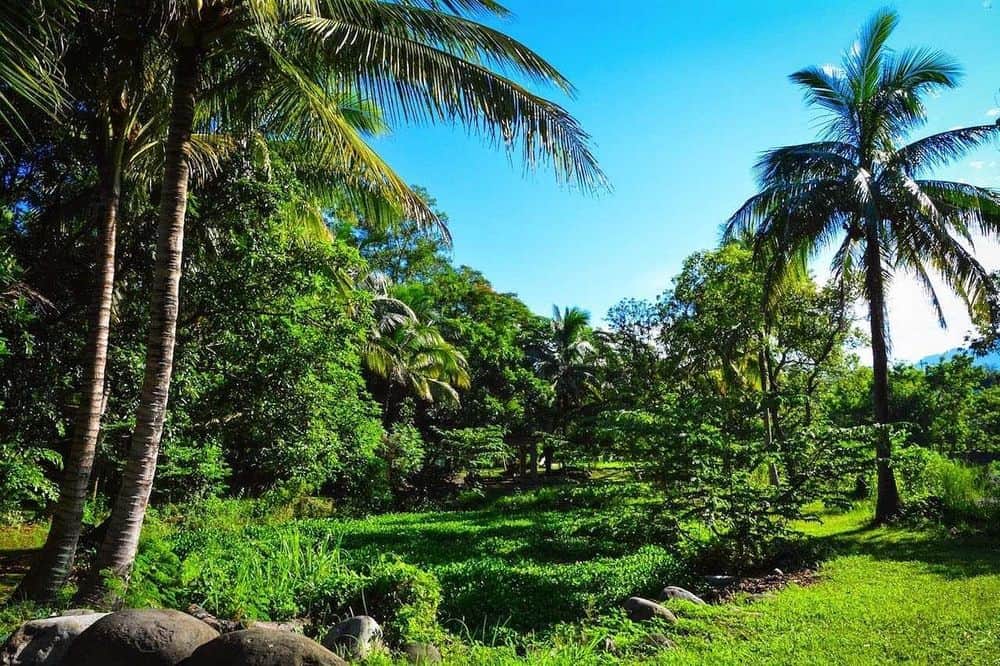 4 Day Yoga Meditation Retreat in Taiwan 3