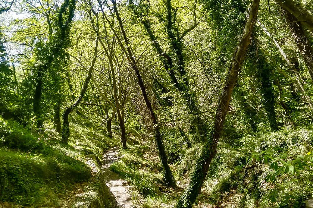 7 Day Self-Healing Yoga and Meditation Retreat in Pelion, Greece 8