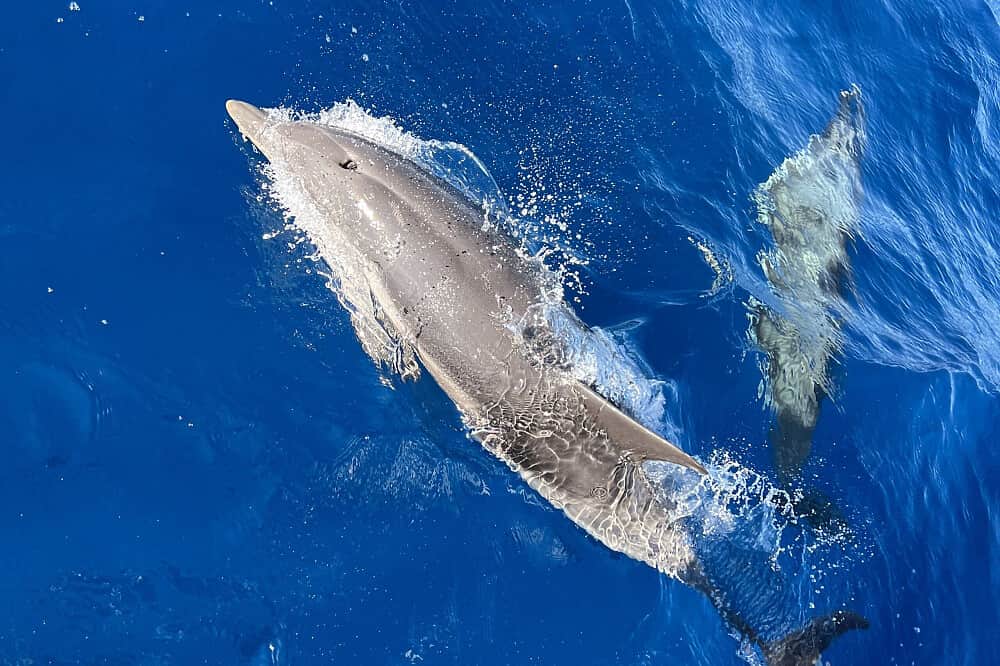 3 Day Sailing Yoga Retreat in Sardinia, Italy 6