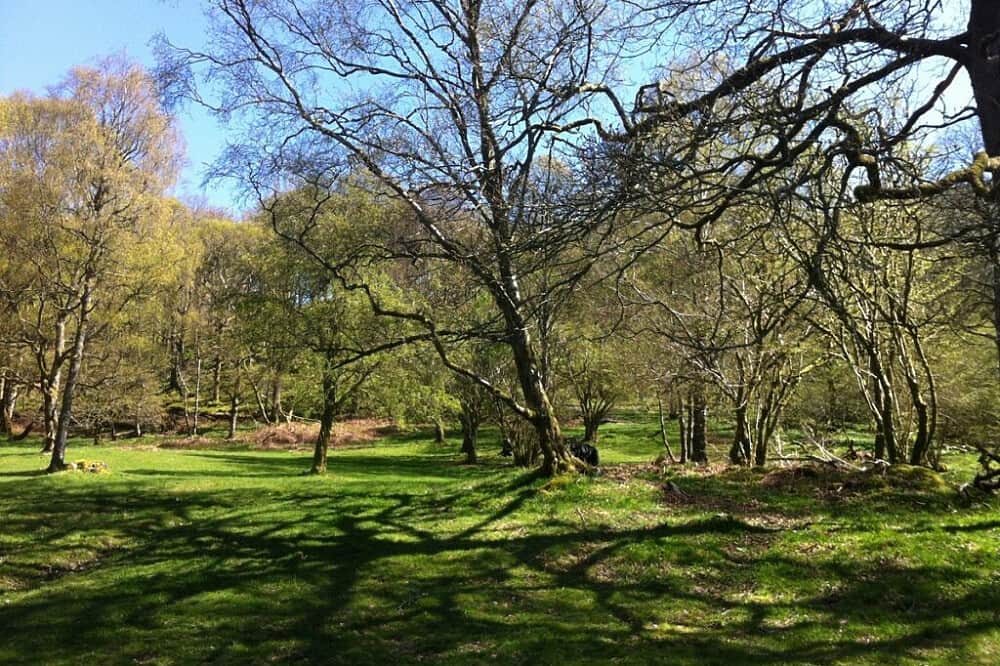 3 Day Women's Nature & Element Connection in Lake District, UK 8