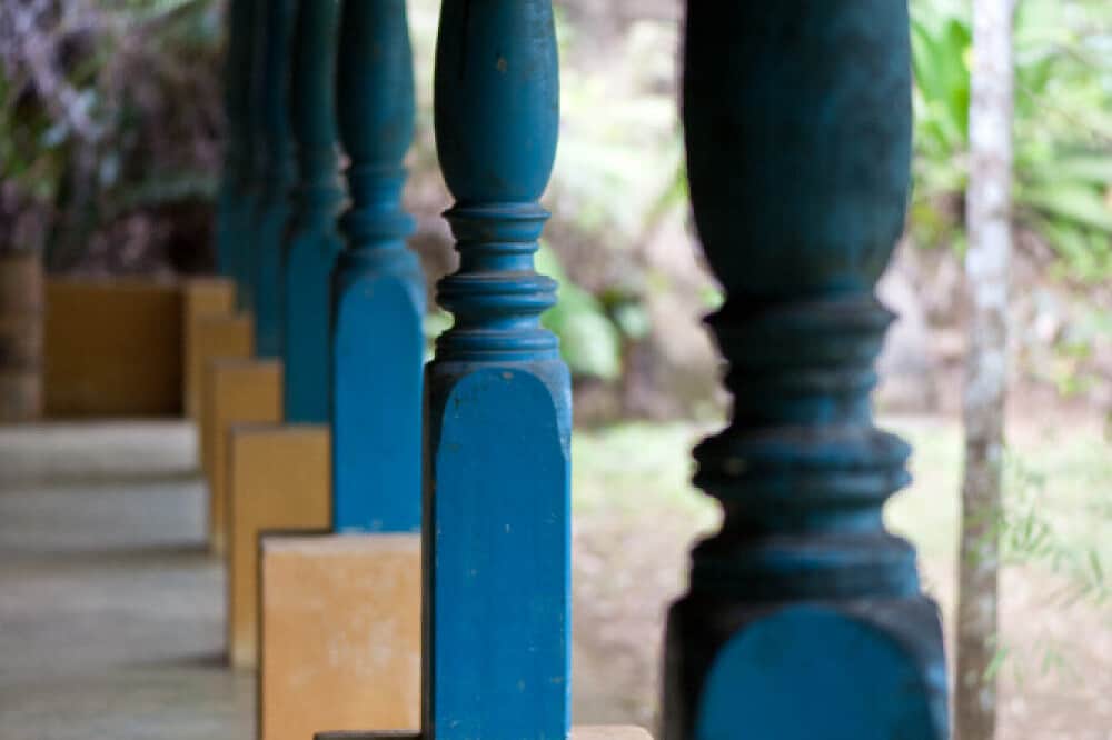 6 Day Yoga, Waterfall Tour and Spice Planting Retreat, Sri Lanka 3