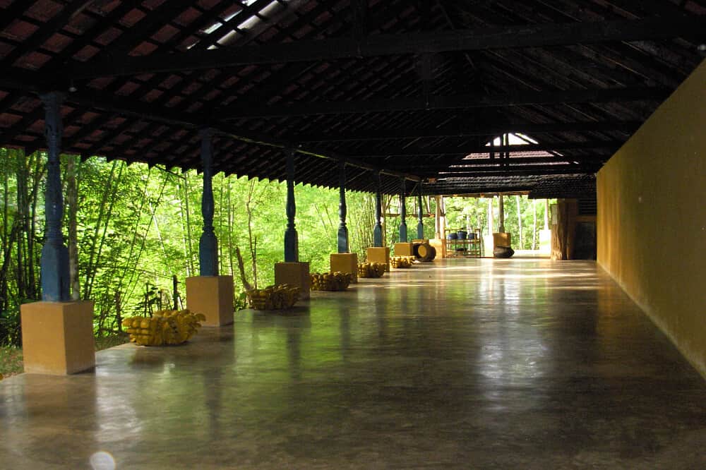 6 Day Yoga, Waterfall Tour and Spice Planting Retreat, Sri Lanka 6