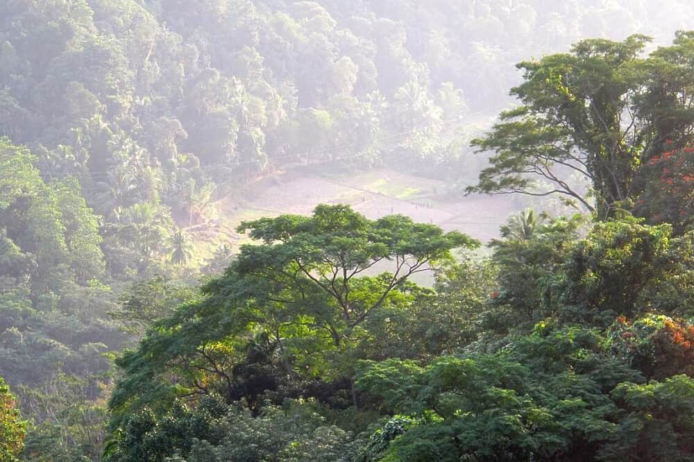 6 Day Yoga, Waterfall Tour and Spice Planting Retreat, Sri Lanka 8