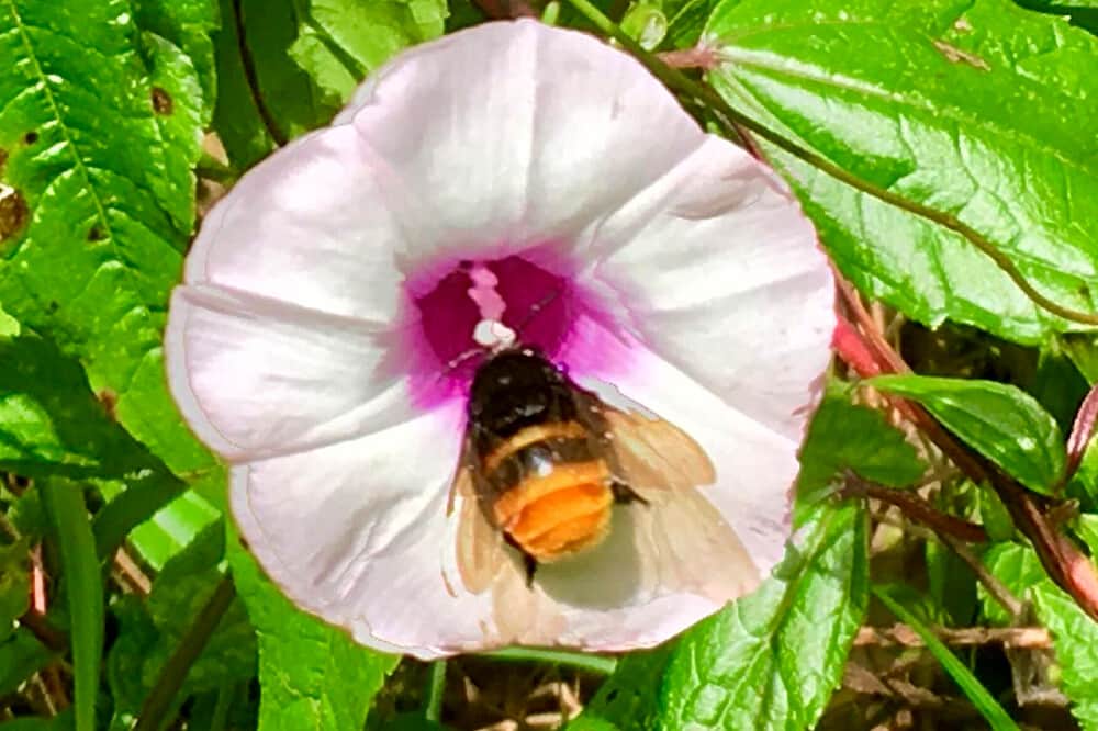 7 Day Private Rainforest Yoga Holiday in Lake Arenal, Costa Rica 7