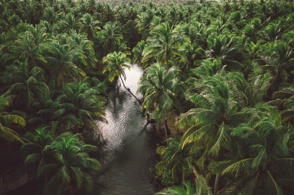 6 Day Self Love Yoga Retreat in Siargao, Philippines 6