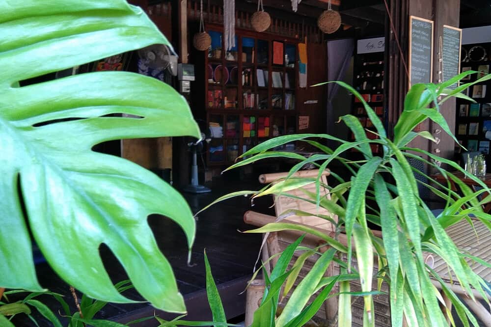 6 Day 50 Hours Pranayama/Breathwork Teacher Training in Thailand 6