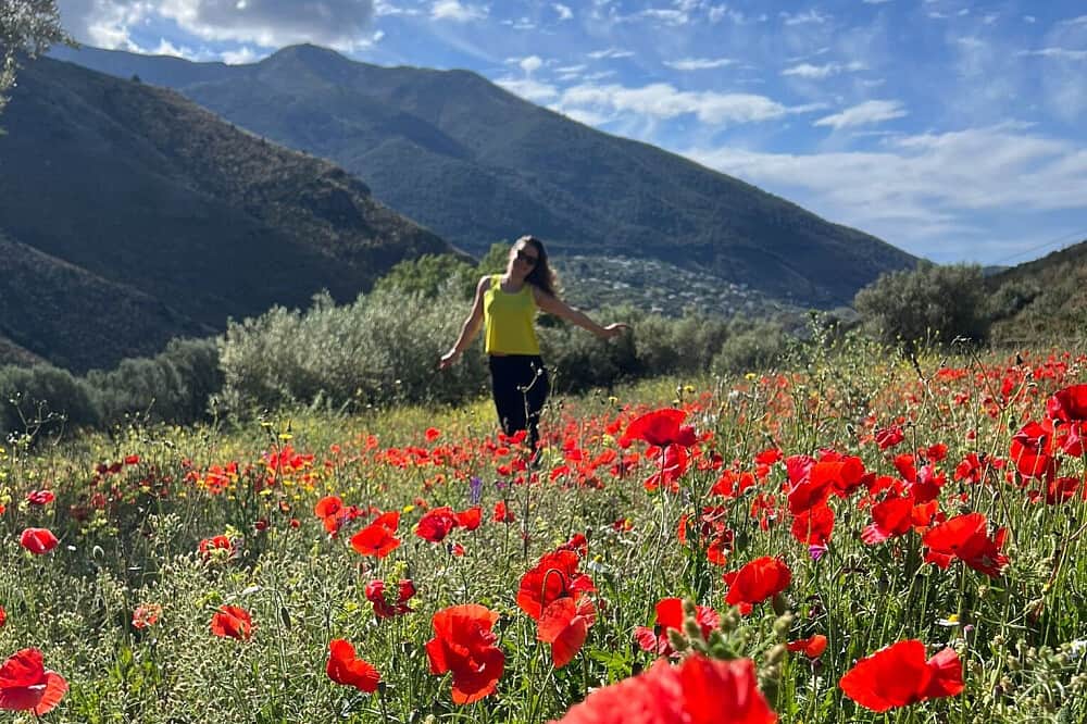 6 Day Wellness & Relaxation Retreat in Malaga, Spain 7