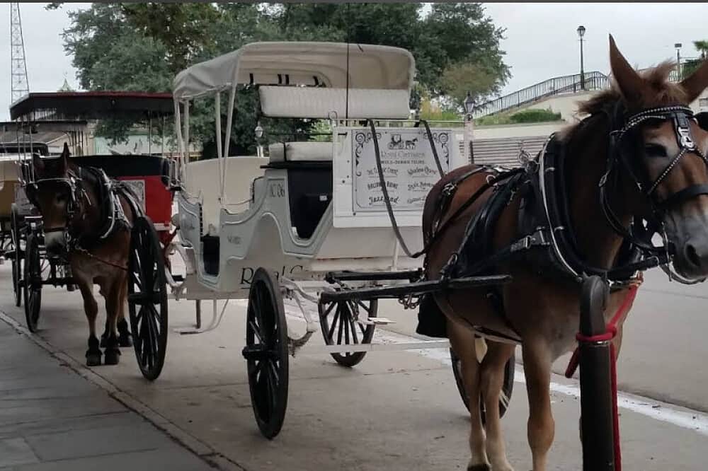 4 Day Men's Private Retreat: Let Go and Be You in New Orleans 5