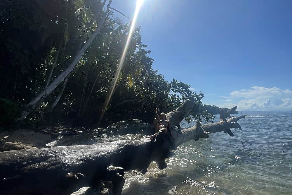 8 Day Private Paradise Ayurveda Detox & Yoga Retreat, Costa Rica 5