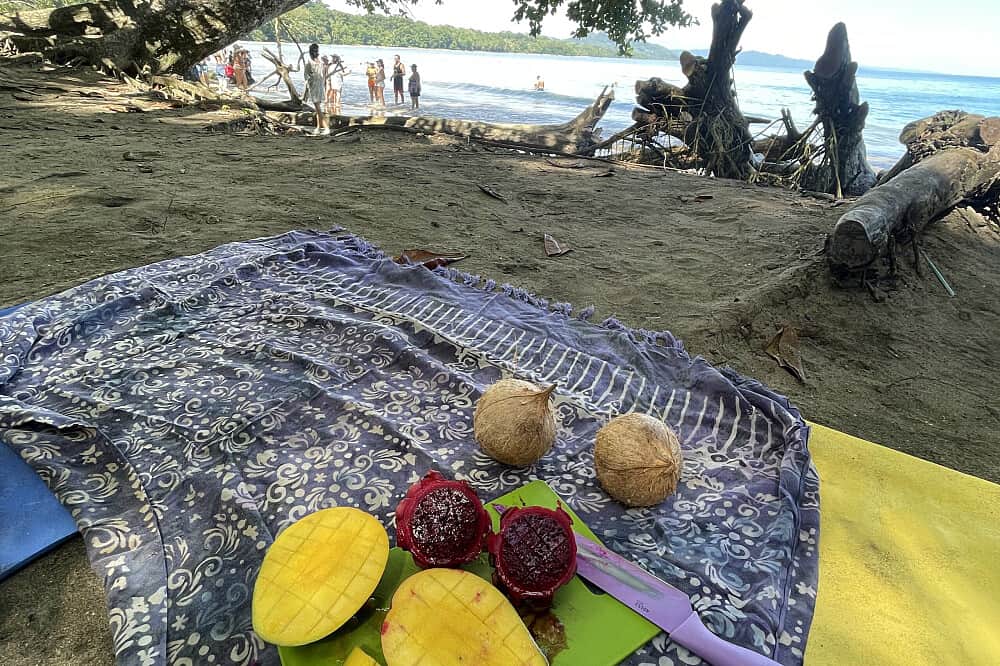 8 Day Private Paradise Ayurveda Detox & Yoga Retreat, Costa Rica 3