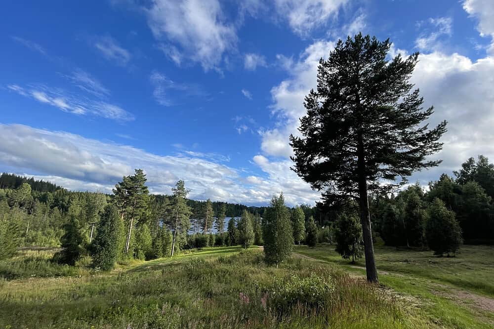 5 Day Forest Power Solo Retreat in a Tent, Frisbo, Sweden 7